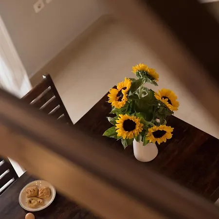 Appartement The Loft *