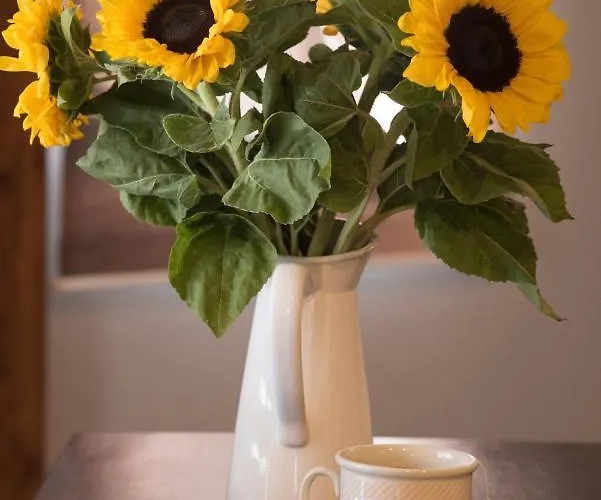 Apartamento The Loft